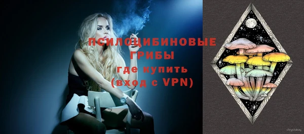гашик Абаза