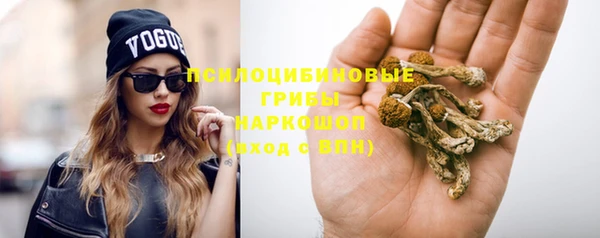 хмурый Абинск